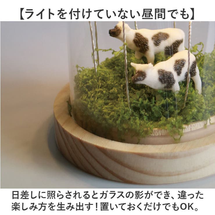 LUMO フラワーガラスドームS | BACKYARD FAMILY | 詳細画像7 
