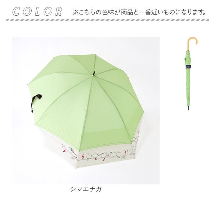 バックスライド傘 60cm[品番：BCYW0025359]｜BACKYARD FAMILY