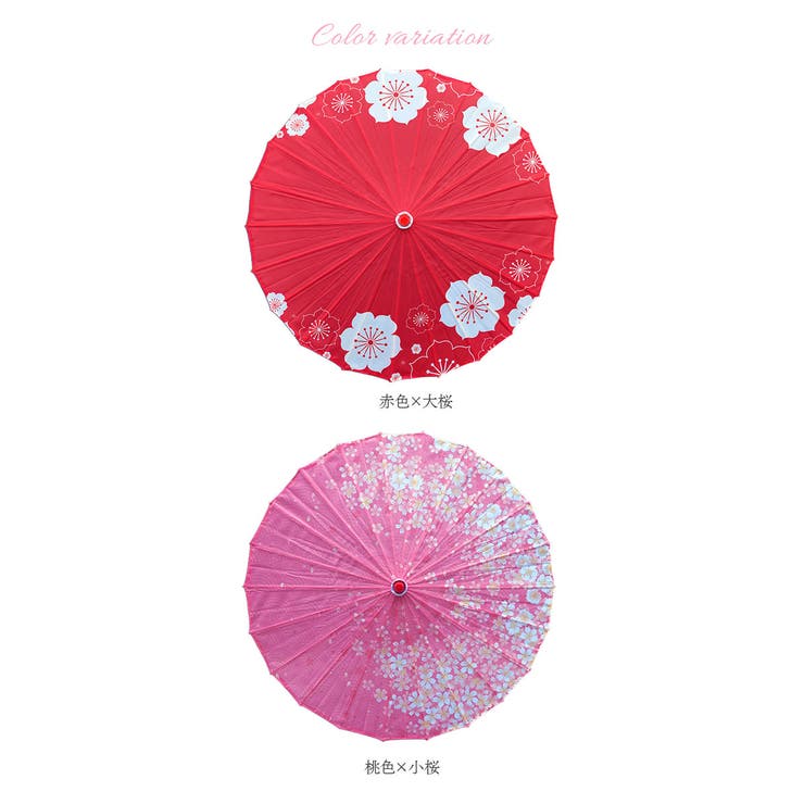 和傘 撮影用 和風 mmju9a | BACKYARD FAMILY | 詳細画像7 