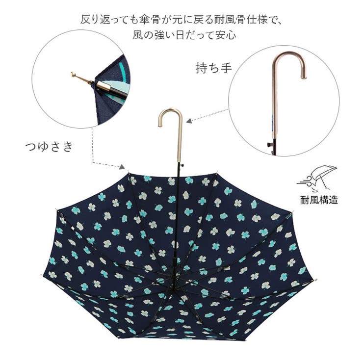 amusant sous la | BACKYARD FAMILY | 詳細画像6 