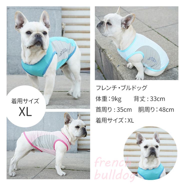 犬用 クールベスト[品番：BCYW0029921]｜BACKYARD FAMILY