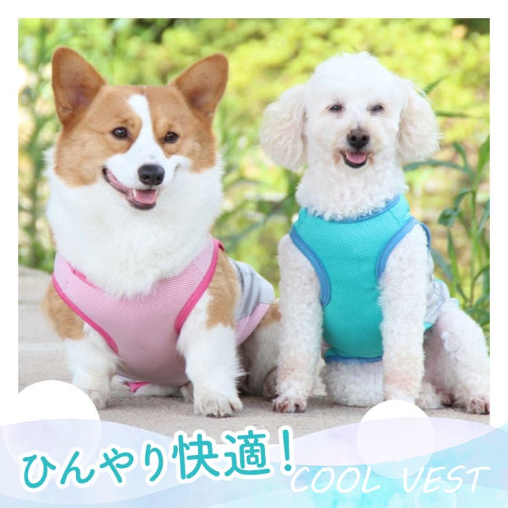 最大15%OFFクーポン yukiemon ☆3L☆fl5☆大きいサイズ