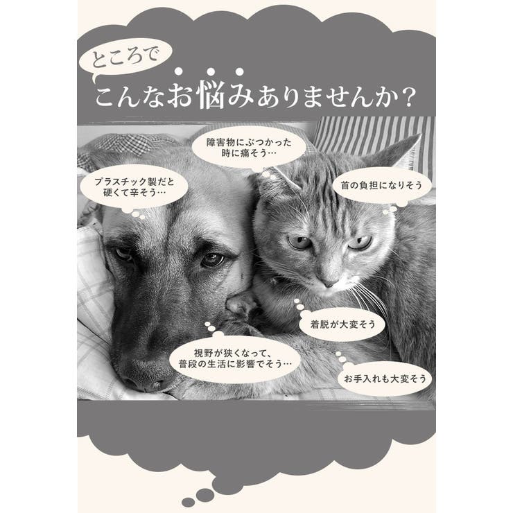 エリザベスカラー pd60007 | BACKYARD FAMILY | 詳細画像6 