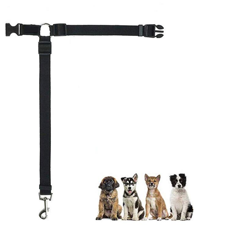 犬用