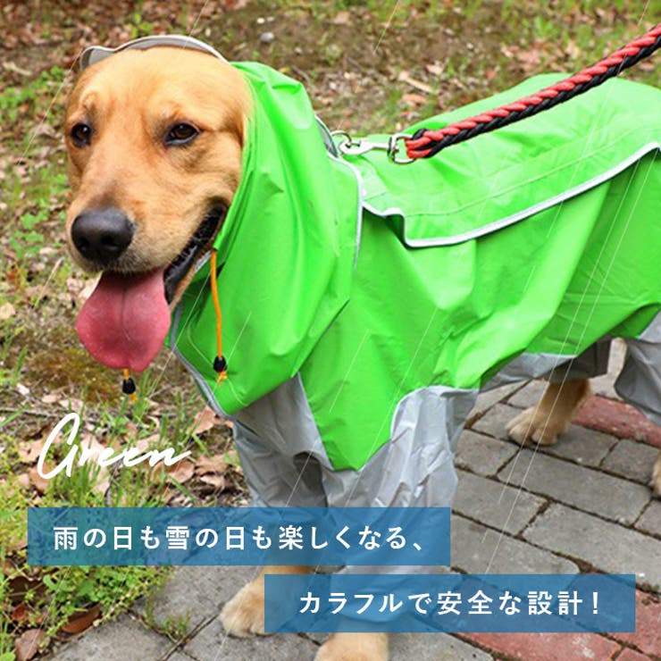 犬用レインコート pk99 | BACKYARD FAMILY | 詳細画像3 