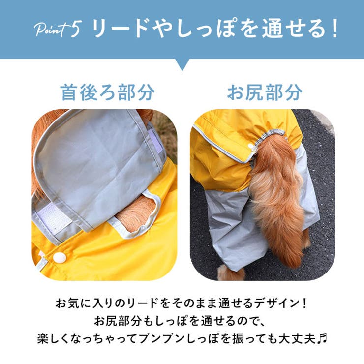 犬用レインコート pk99 | BACKYARD FAMILY | 詳細画像9 