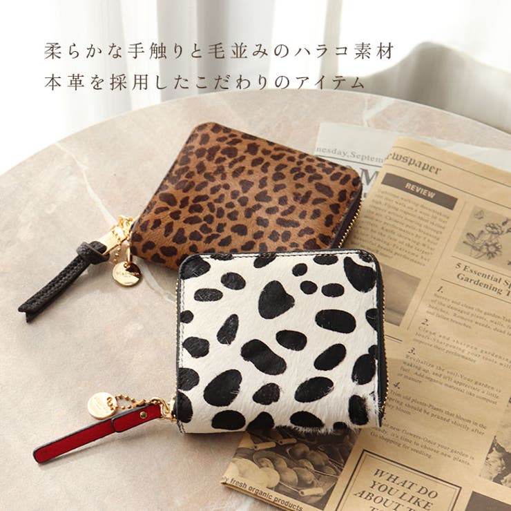 Pisoraro ピソラロ ハラコ ラウンド二つ折りミニウォレット | BACKYARD FAMILY | 詳細画像3 