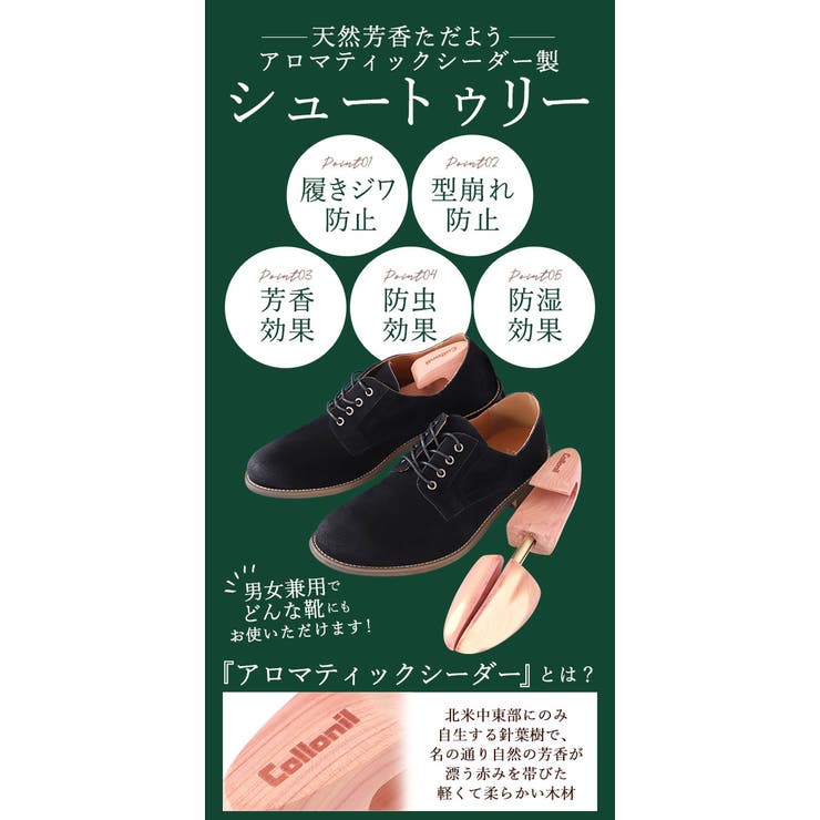 シューキーパー コロニル 靴用[品番：BCYW0001202]｜BACKYARD FAMILY