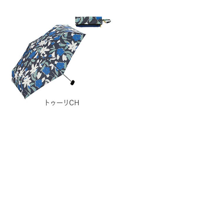折りたたみ傘 w p[品番：BCYW0002588]｜BACKYARD FAMILY（バック