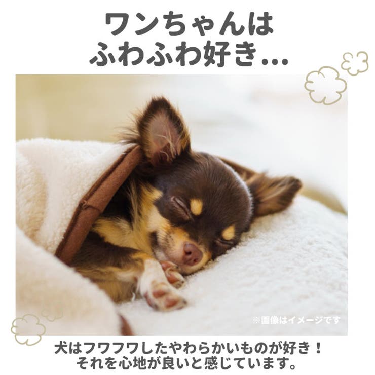 ペットウェア 犬服 冬服 犬用品 防寒 おしゃれ xty0808 | BACKYARD FAMILY | 詳細画像3 