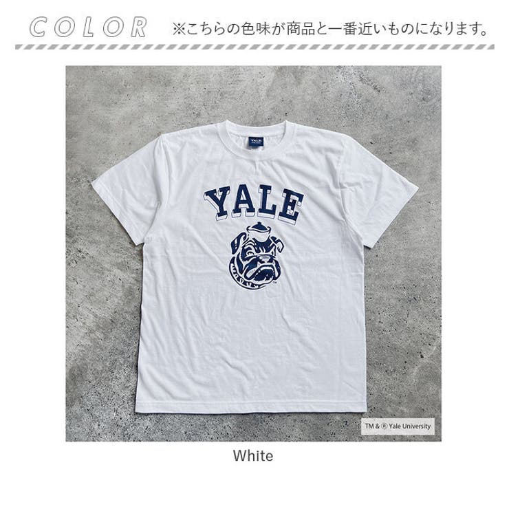 YALE SHORT SLEEVE T-SHIRT | BACKYARD FAMILY | 詳細画像13 