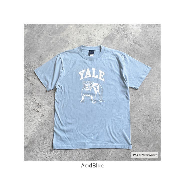 YALE SHORT SLEEVE T-SHIRT | BACKYARD FAMILY | 詳細画像14 
