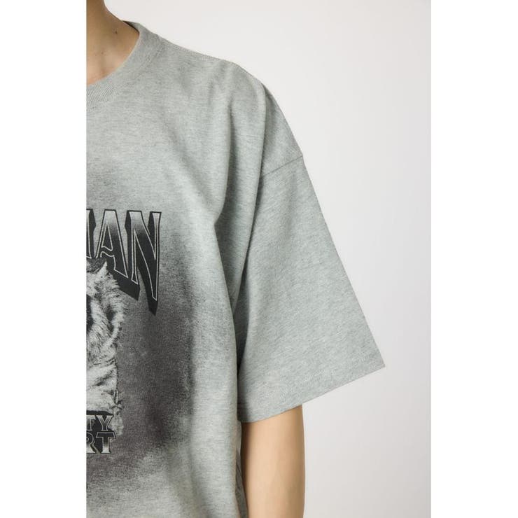 フェードタイガーTシャツ | RODEO CROWNS WIDE BOWL | 詳細画像27 