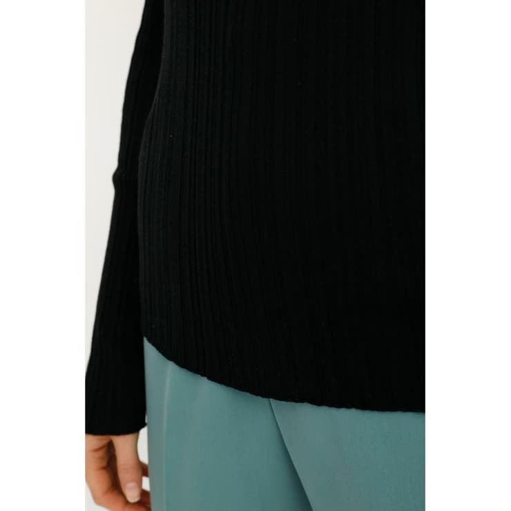 SOLID SHEER TURTLE HG トップス | SLY OUTLET | 詳細画像15 