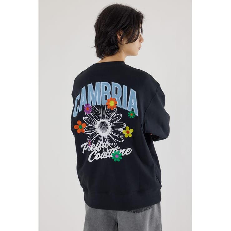 CAMBRIAスウェット | RODEO CROWNS WIDE BOWL | 詳細画像4 
