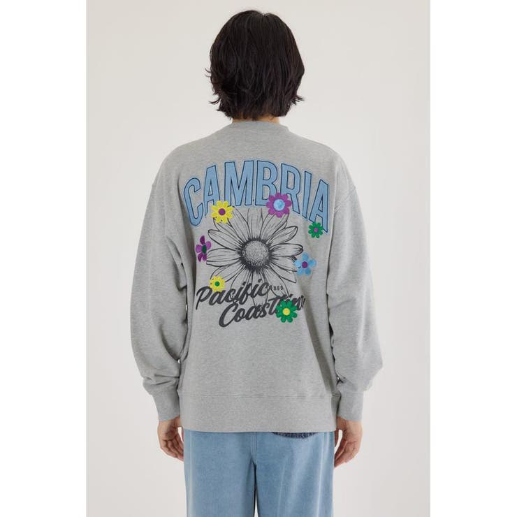 CAMBRIAスウェット | RODEO CROWNS WIDE BOWL | 詳細画像25 