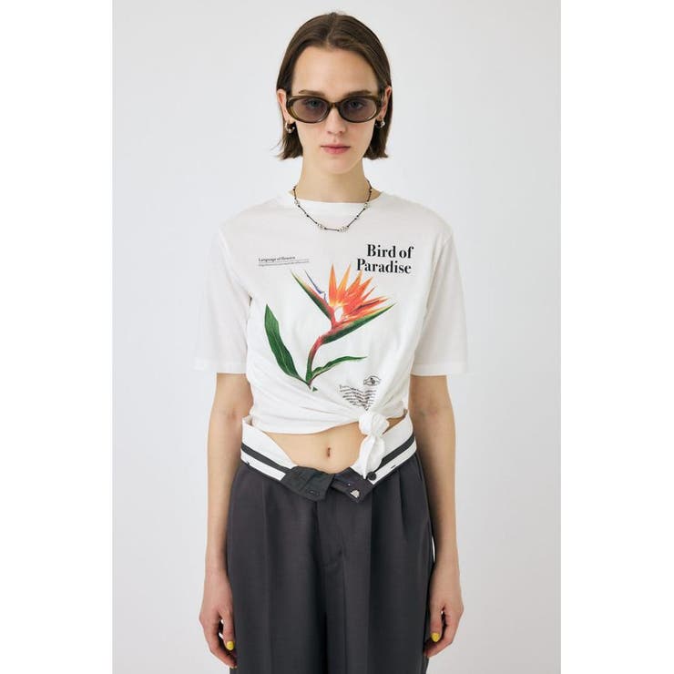 ASYMMETRY フラワー TEE | MOUSSY OUTLET | 詳細画像6 
