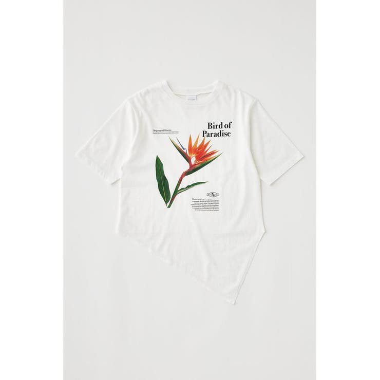 ASYMMETRY フラワー TEE | MOUSSY OUTLET | 詳細画像15 