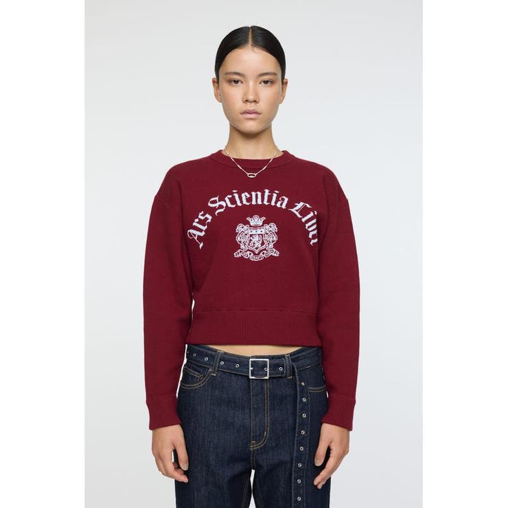 BRD | SWEATLIKE JAQUARD セーター | MOUSSY OUTLET