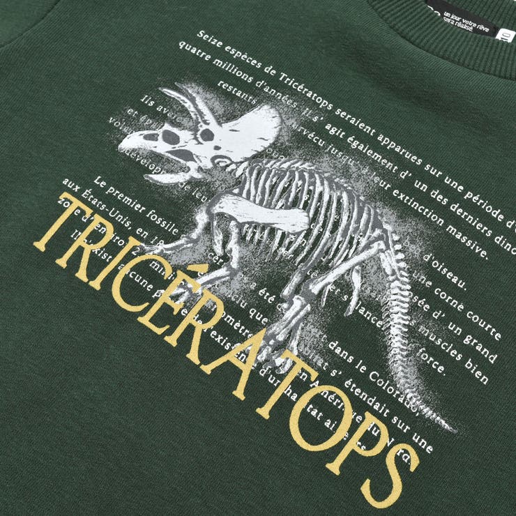 ベア裏毛恐竜標本トレーナー(80~150cm) | BeBe | 詳細画像11 