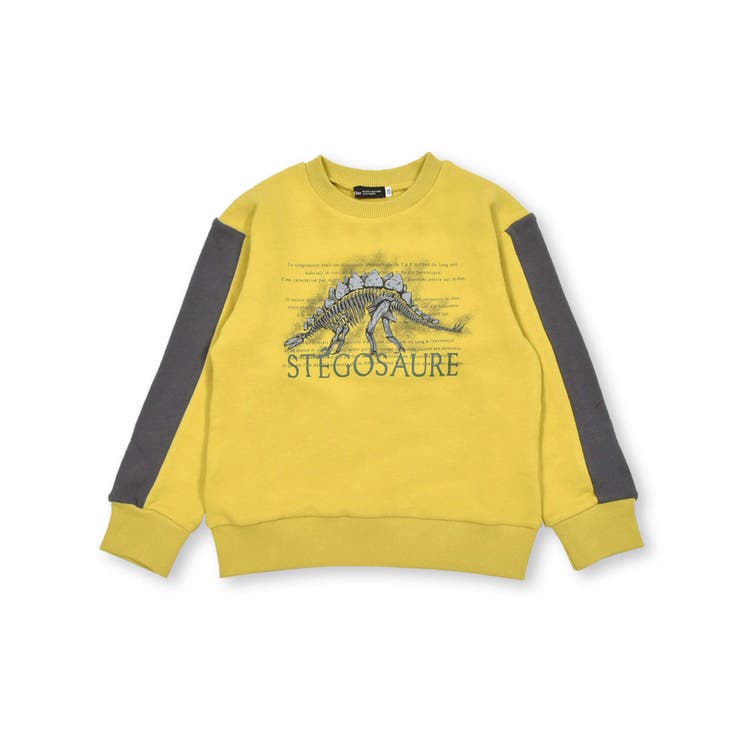 ベア裏毛恐竜標本トレーナー(80~150cm) | BeBe | 詳細画像19 