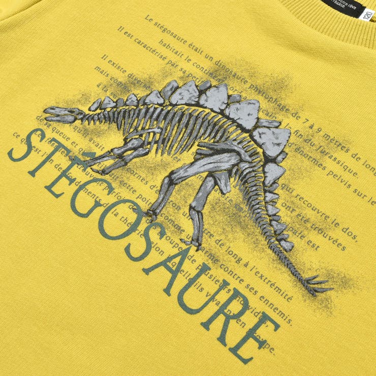 ベア裏毛恐竜標本トレーナー(80~150cm) | BeBe | 詳細画像21 