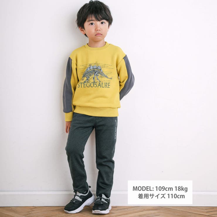 ベア裏毛恐竜標本トレーナー(80~150cm) | BeBe | 詳細画像3 