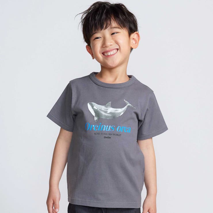 シャチ イルカ 図鑑風半袖Tシャツ | BeBe | 詳細画像1 