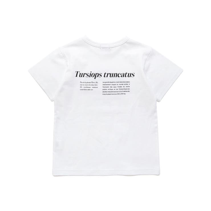 シャチ イルカ 図鑑風半袖Tシャツ | BeBe | 詳細画像10 