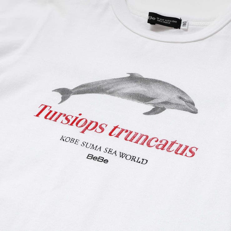 シャチ イルカ 図鑑風半袖Tシャツ | BeBe | 詳細画像11 