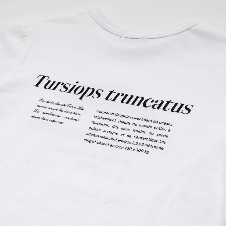 シャチ イルカ 図鑑風半袖Tシャツ | BeBe | 詳細画像12 