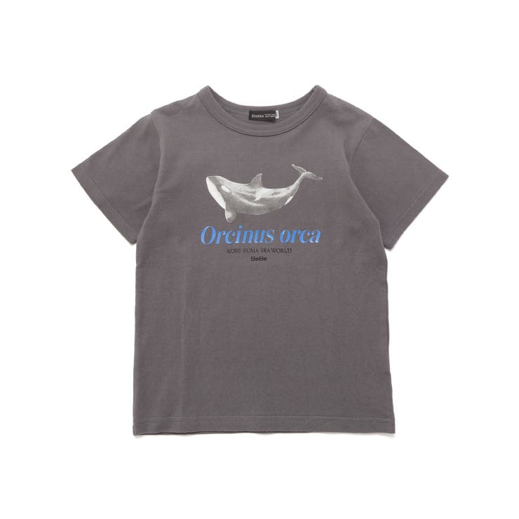 シャチ イルカ 図鑑風半袖Tシャツ | BeBe | 詳細画像13 