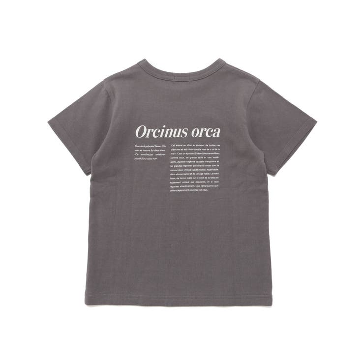 シャチ イルカ 図鑑風半袖Tシャツ | BeBe | 詳細画像14 