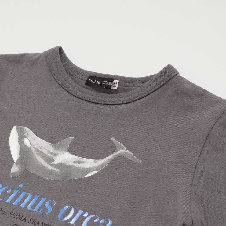 シャチ イルカ 図鑑風半袖Tシャツ | BeBe | 詳細画像15 