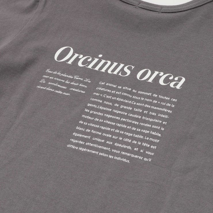 シャチ イルカ 図鑑風半袖Tシャツ | BeBe | 詳細画像17 