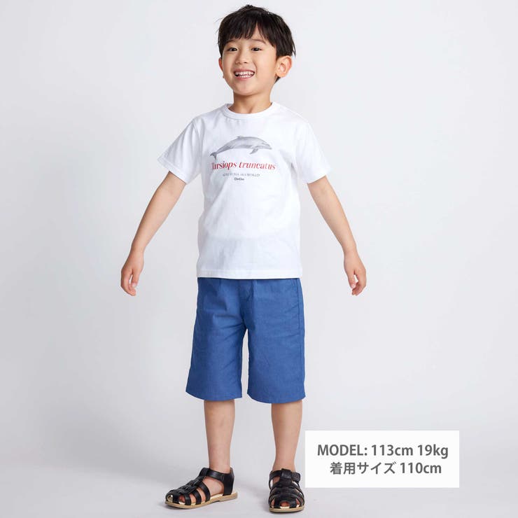 シャチ イルカ 図鑑風半袖Tシャツ | BeBe | 詳細画像2 