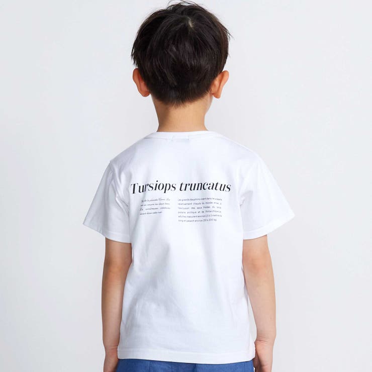 シャチ イルカ 図鑑風半袖Tシャツ | BeBe | 詳細画像3 