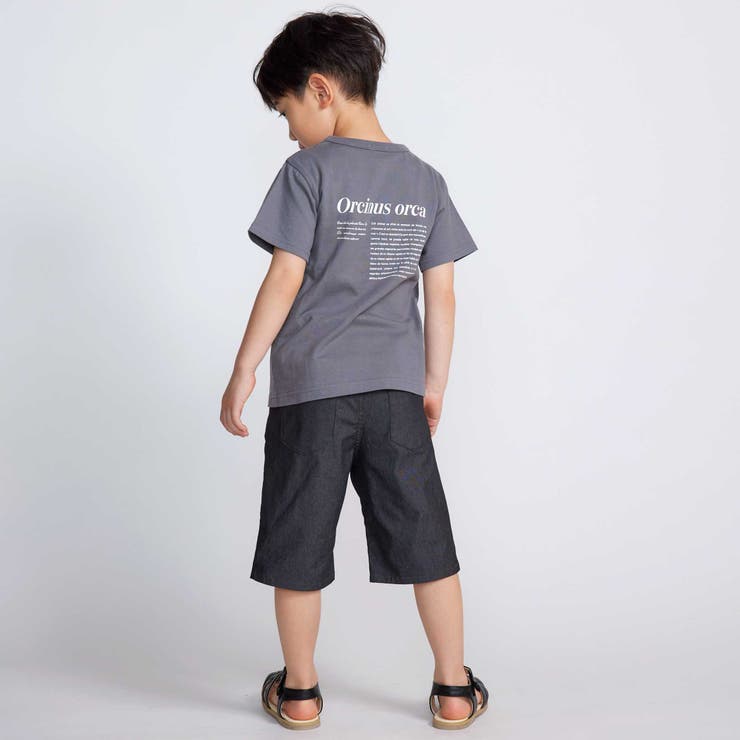 シャチ イルカ 図鑑風半袖Tシャツ | BeBe | 詳細画像5 