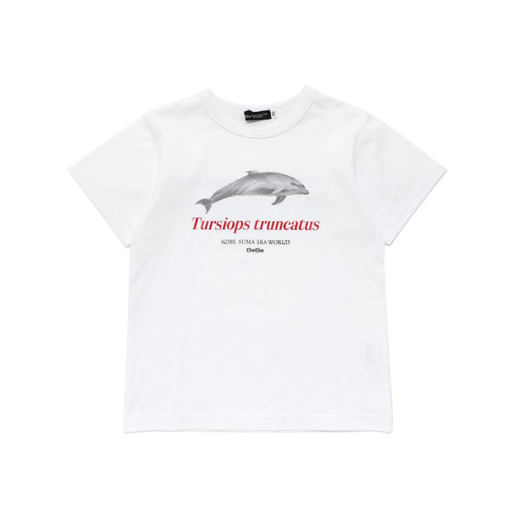 シャチ イルカ 図鑑風半袖Tシャツ | BeBe | 詳細画像9 