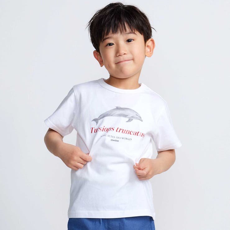 ホワイト | シャチ イルカ 図鑑風半袖Tシャツ | BeBe