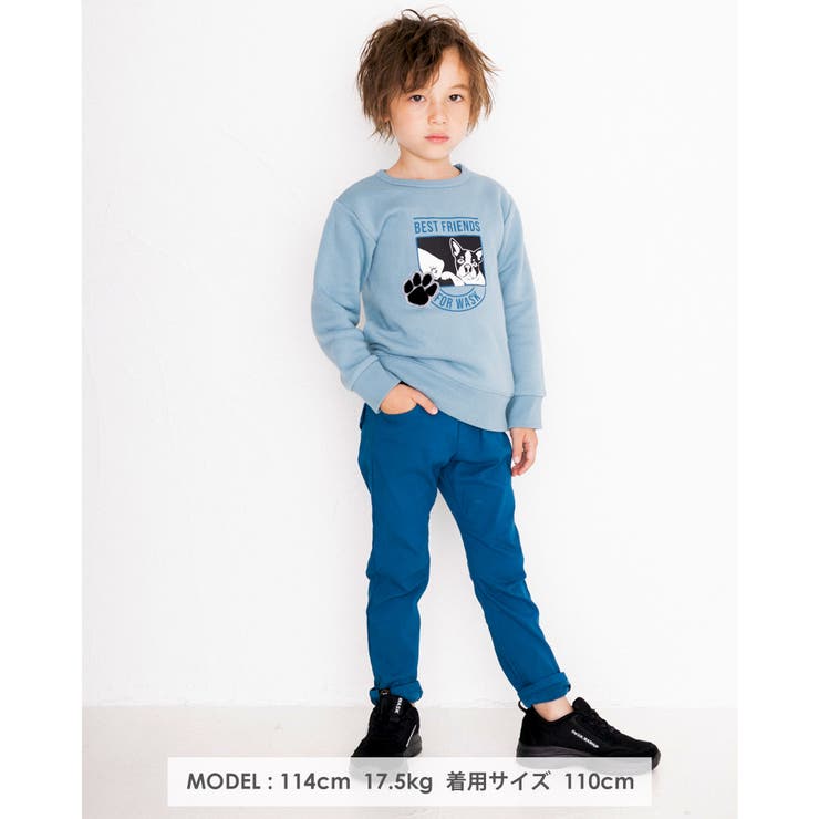 アニマル ドッグ プリント | WASK | 詳細画像2 