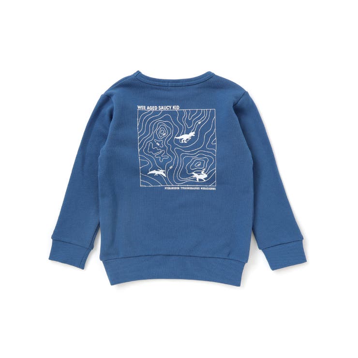 恐竜プリントトレーナー(100~160cm) | WASK | 詳細画像12 