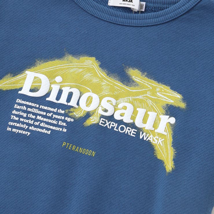 恐竜プリントトレーナー(100~160cm) | WASK | 詳細画像13 