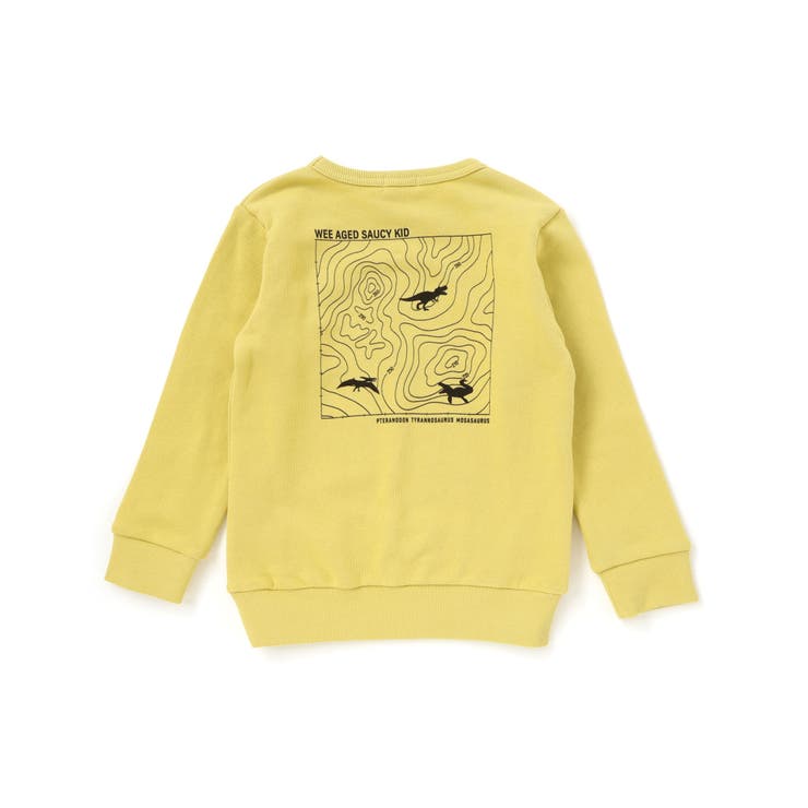 恐竜プリントトレーナー(100~160cm) | WASK | 詳細画像15 