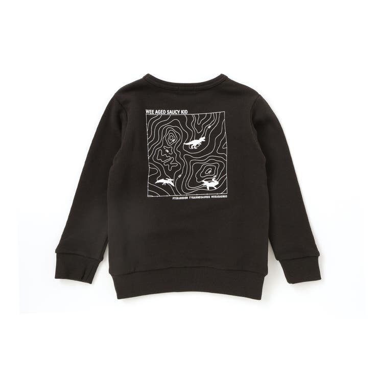 恐竜プリントトレーナー(100~160cm) | WASK | 詳細画像9 