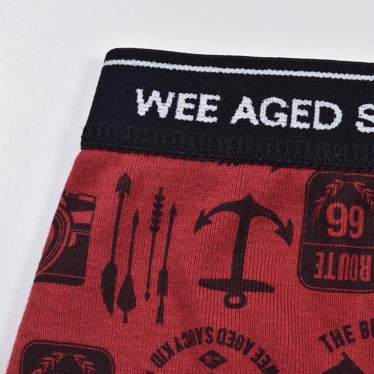 無地 + 総柄 2P コットン フライス ショーツ (110~160cm) | WASK | 詳細画像6 