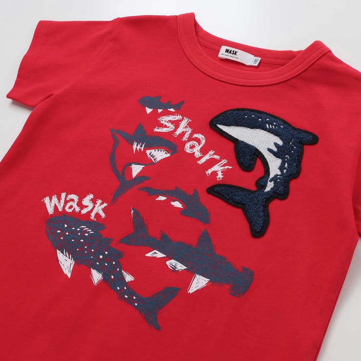 【接触冷感】WASKシャークTシャツ(100~160cm) | WASK | 詳細画像11 