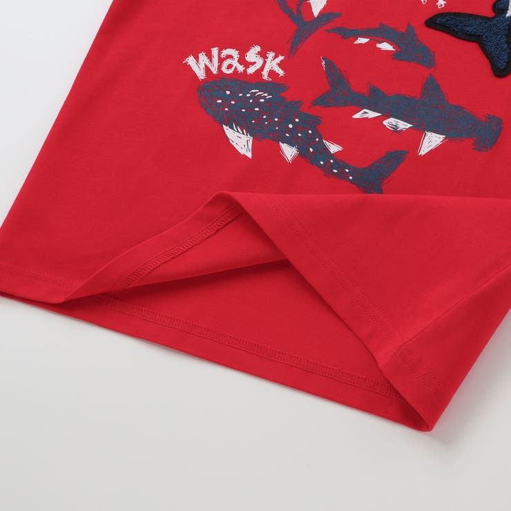 【接触冷感】WASKシャークTシャツ(100~160cm) | WASK | 詳細画像14 