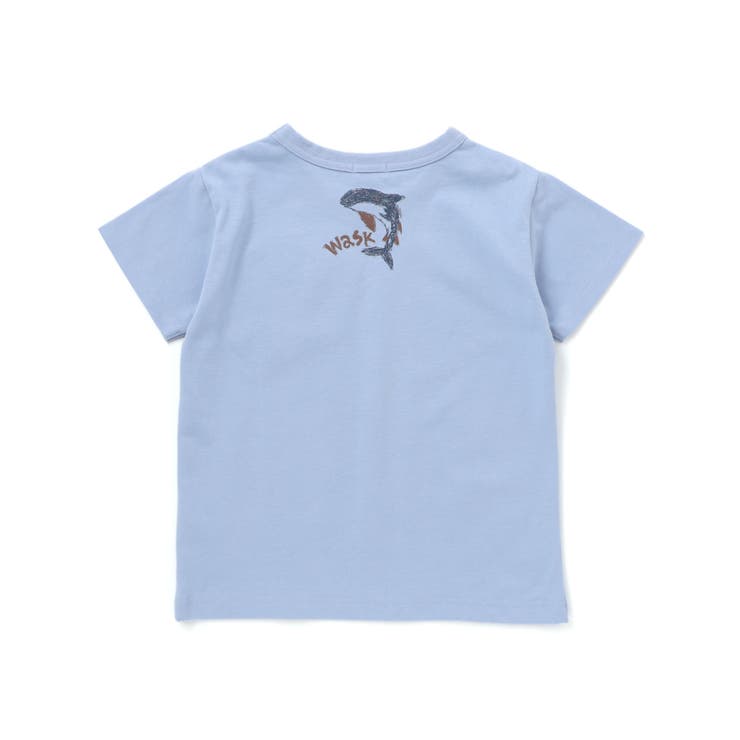 【接触冷感】WASKシャークTシャツ(100~160cm) | WASK | 詳細画像18 