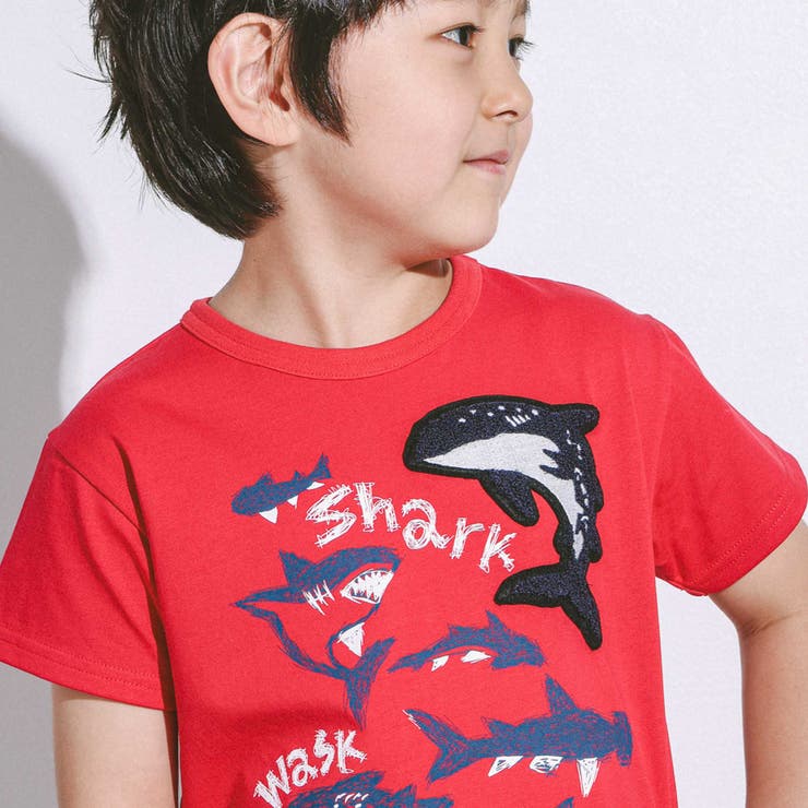 【接触冷感】WASKシャークTシャツ(100~160cm) | WASK | 詳細画像5 